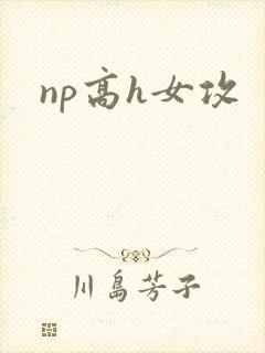 np高h女攻封面