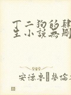 丁二狗的肆意人生小说无删减