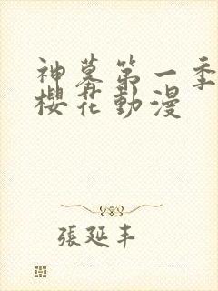 神墓第一季动漫樱花动漫封面