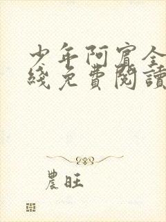 少年阿宾全文在线免费阅读