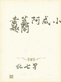 黄蓉阿成小说笔趣阁