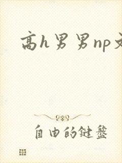 高h男男np文