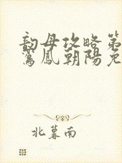 韵母攻略第二部鸾凤朝阳免费阅读