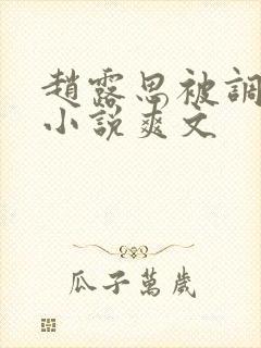 赵露思被调教h小说爽文