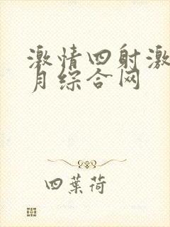 激情四射激情五月综合网