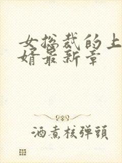 女总裁的上门女婿最新章封面