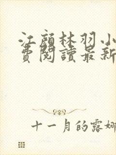 江颜林羽小说免费阅读最新章节