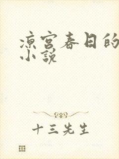 凉宫春日的忧郁小说封面