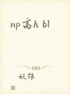 np高h bl