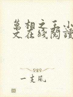 万相之王小说全文在线阅读封面