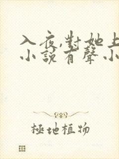 入夜,对她上瘾小说有声小说封面