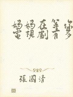 妈妈在等你这部电视剧有多少集