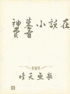 神墓小说在线免费看