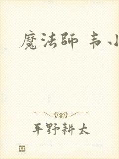 魔法师 韦小宝