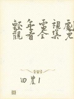 轻年电视剧在线观看全集免费高清