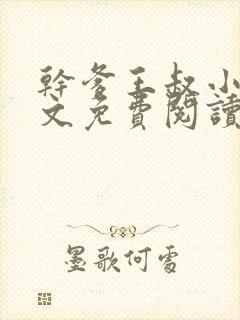 干爹王叔小说全文免费阅读最新章节