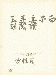 王平妻子白柔小说阅读