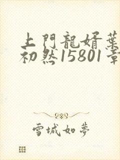 上门龙婿叶辰萧初然15801章