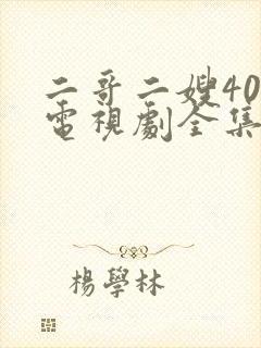 二哥二嫂40集电视剧全集高清封面
