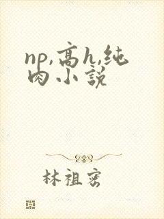np,高h,纯肉小说
