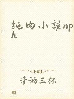 纯肉小说np高h