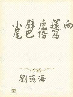 小壁虎还向谁借尾巴仿写