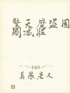 惊天魔盗团2未删减版