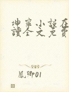 坤宁小说在线阅读全文免费