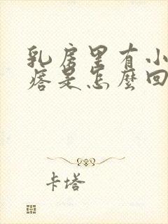 乳房里有小硬疙瘩是怎么回事封面