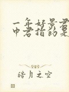 一年好景君须记中君指的是