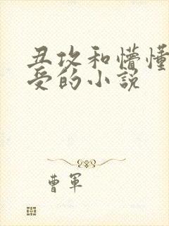 丑攻和懵懂无知受的小说