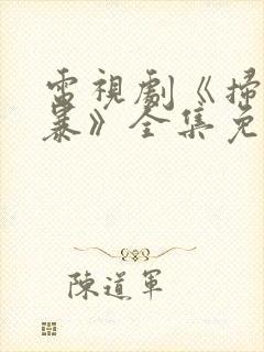 电视剧《扫黑风暴》全集免费观看