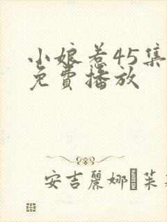 小娘惹45集全免费播放封面
