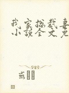 我家总裁妻管严小说全文免费阅读封面