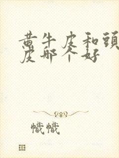 黄牛皮和头层牛皮哪个好