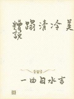 糟蹋清冷美人小说