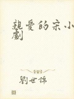 亲爱的宋小姐短剧