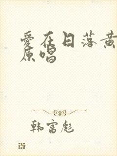 爱在日落黄昏时原唱