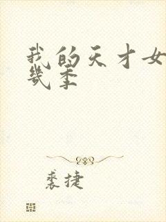 我的天才女友有几季封面