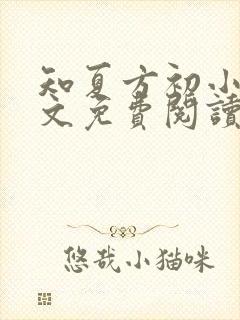 知夏方初小说全文免费阅读最新章节封面