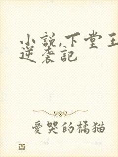 小说,下堂王妃逆袭记