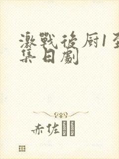 激战后厨1至5集日剧