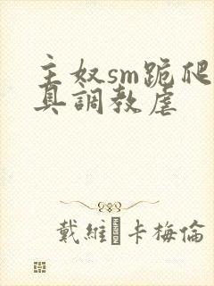 主奴sm跪爬道具调教虐