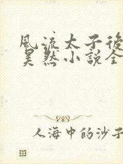 风流太子后宫林昊然小说全文阅读封面