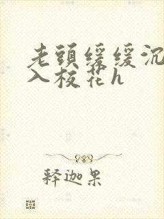 老头缓缓沉腰进入校花h