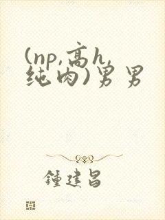 (np,高h,纯肉)男男