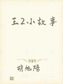 王2小故事