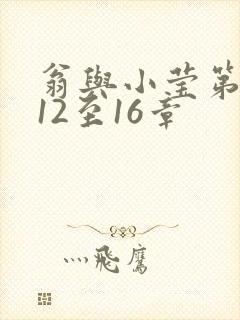 翁与小莹第十部12至16章