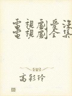 电视剧爱没有错电视剧全集免费观看