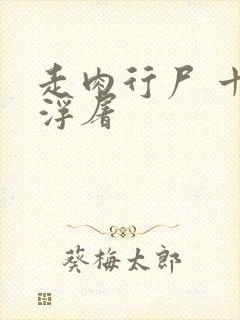 走肉行尸 十阶浮屠封面